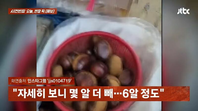 진짜 장사 열심히 하는 재래시장 근황
