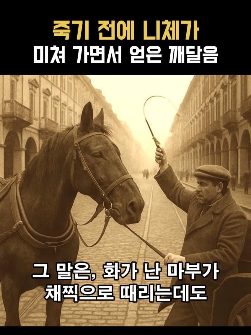 ㅂㅅㅂㅅ 니체가 죽기 직전에 미친 이유 (4)