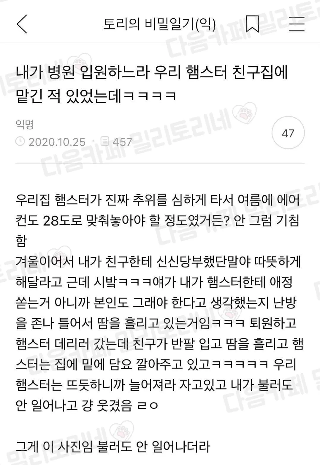 내가 병원 입원하느라 우리 햄스터 친구집에 맡긴 적 있었는데 ㅋㅋㅋㅋ