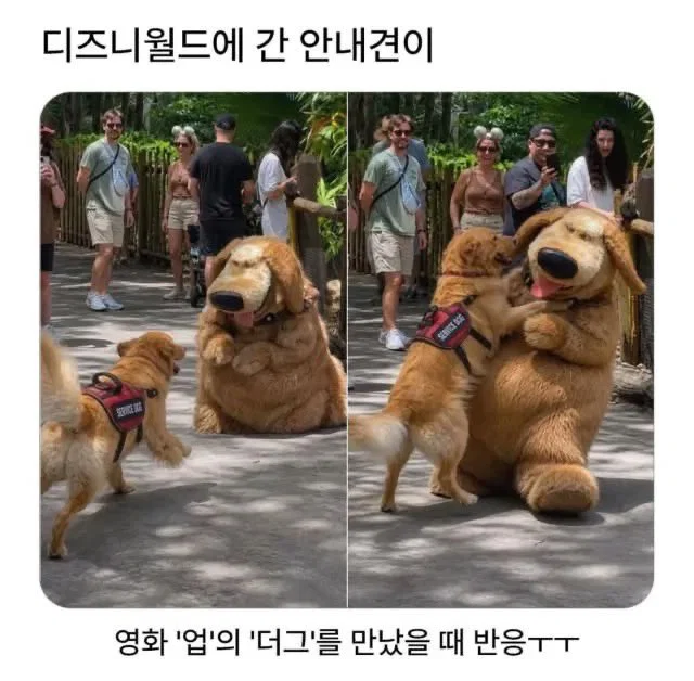 맘마를 맛있게 먹은게 분명한 아기냥이 (13)