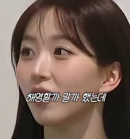 사실 루머공장이라는 나무위키 (21)