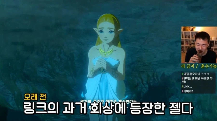 젤다가 못 생겼단 의견에 일침하는 스트리머