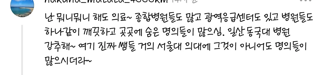 일산 이사오고나서 이국적인 동네 풍경에 만족이되서 해외를 나가고싶은 욕망이 사라짐 진짜 외국같다 (5)