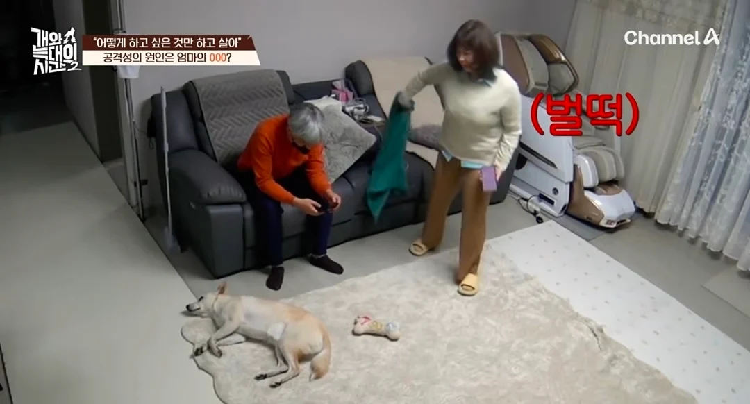 개늑시에 나오는 문제견 견주 특징 (3)