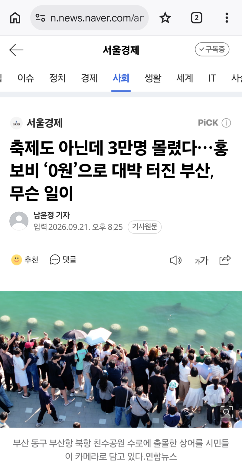 상어 한마리 보겠다고 사흘간 3만명이나 몰렸 ㄷㄷ