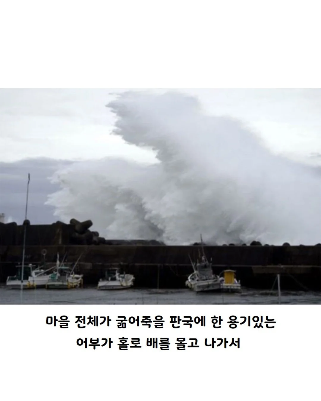 영국 정어리 파이의 진실 (2)
