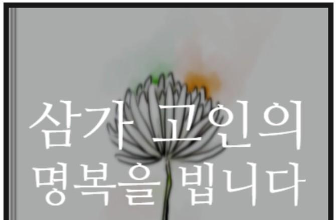 [속보] 제주 장기 실종 장미란씨 추정 시신 발견 (5)