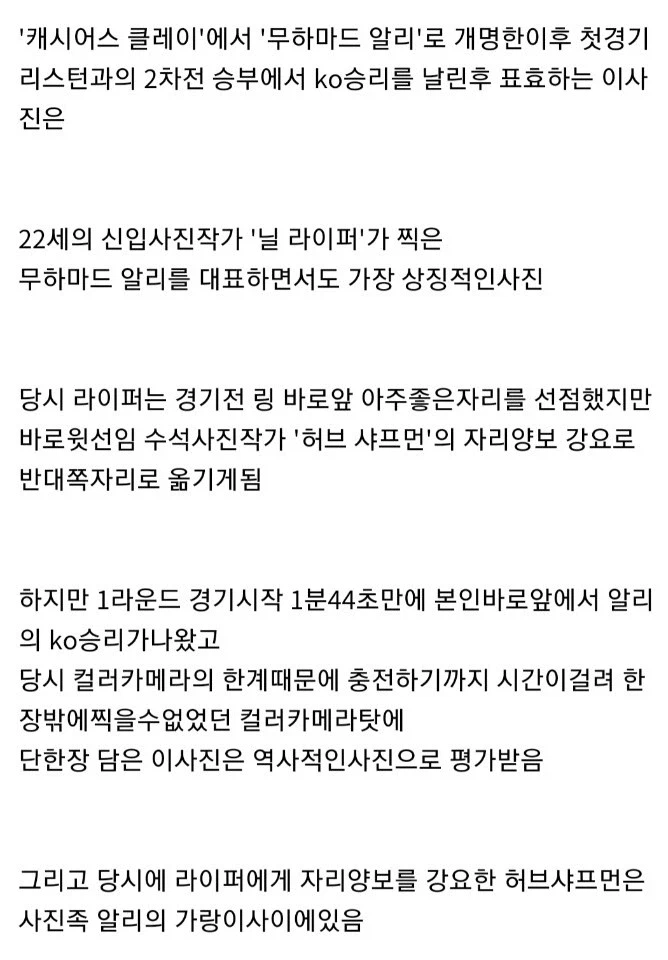 단 한장으로 역사에 남은 신입사진작가 (2)