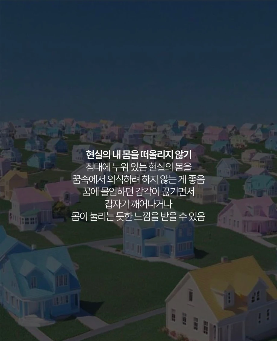 [스압] 자각몽을 꿀 때 해선 안 되는 행동들 (4)