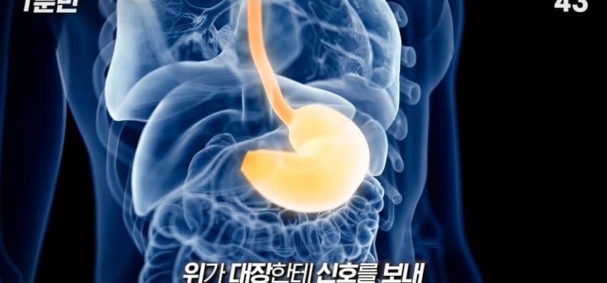 먹자마자 바로 화장실 가는 사람은 뭘까? (10)