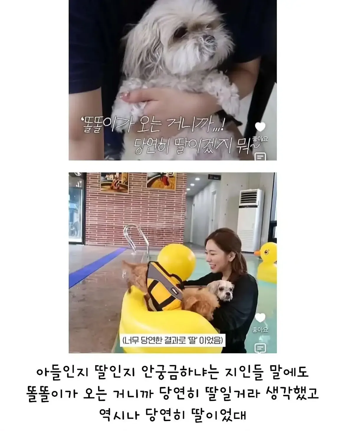 세상 떠난 반려견이 딸로 돌아온거 같다는 유튜버 (16)