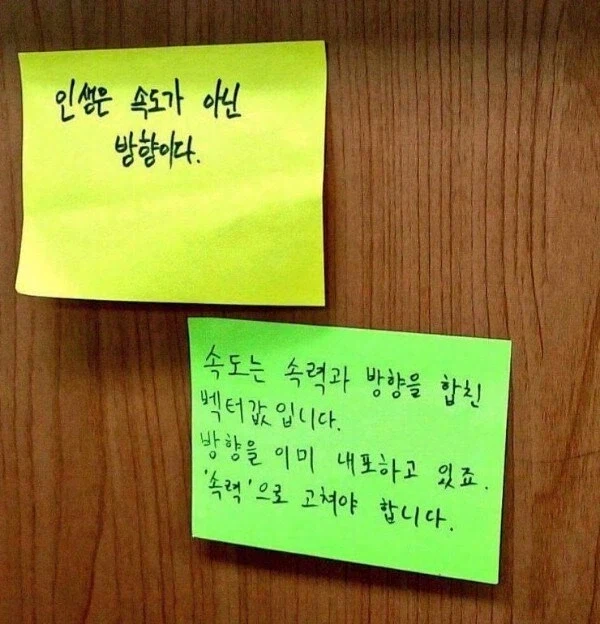 인생은 '속도'가 아닌 '방향'이다.jpg_1.webp