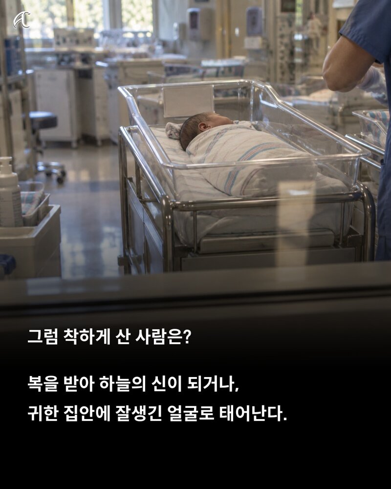 불교 경전 적힌 다음생에는 어떤짐승으로? (4)