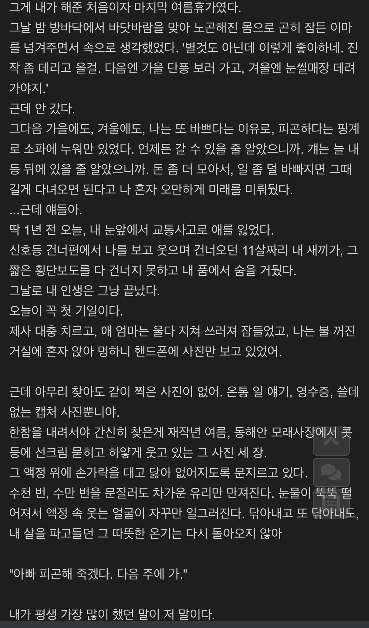 익게에 올라온 어느 딸바보 아빠의 글 (4)