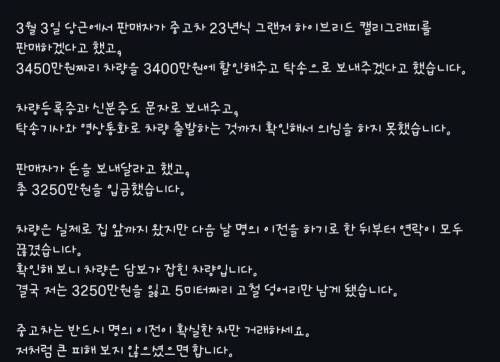당근으로 자동차를 구매한 사람