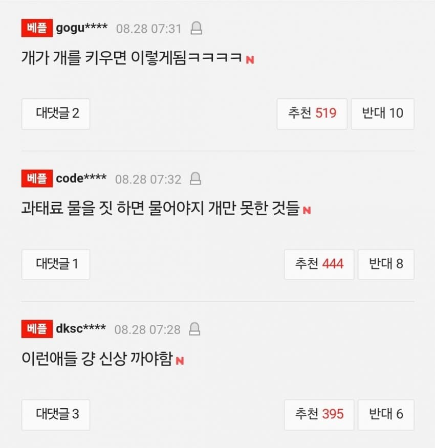 목줄 없는 강아지들 신고했다가…"너 뭐 돼? 할 짓 없냐" 집단 조롱 (4)