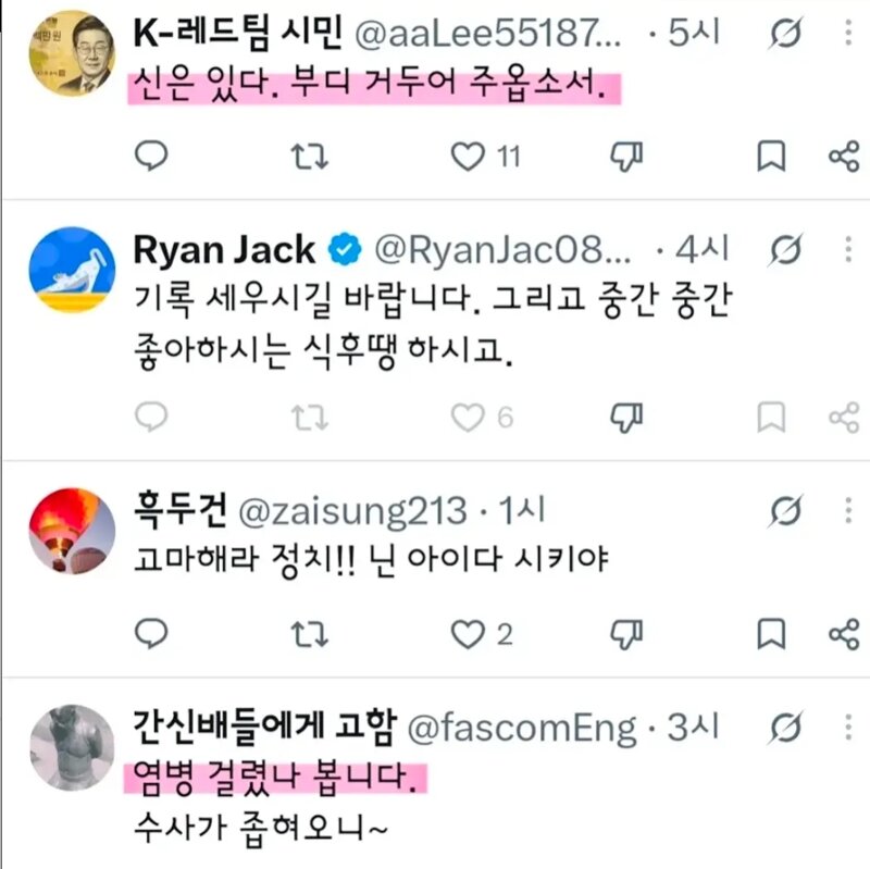 뉴일베들 정전대표 댓글 쓰벌 (5)