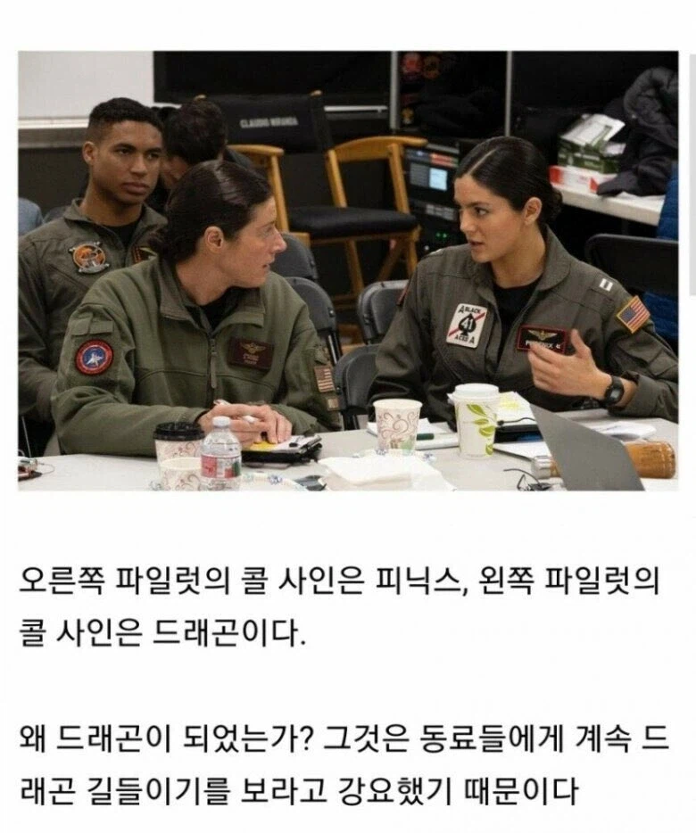 스압) 싱글벙글 미 공군 콜사인 지구촌.