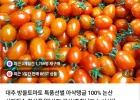 대추 방울 토마토 1kg 로열과