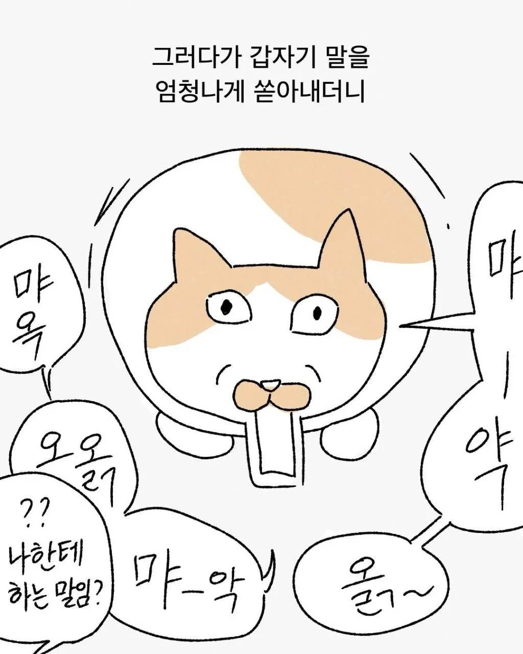프로 츄르강탈 고양이