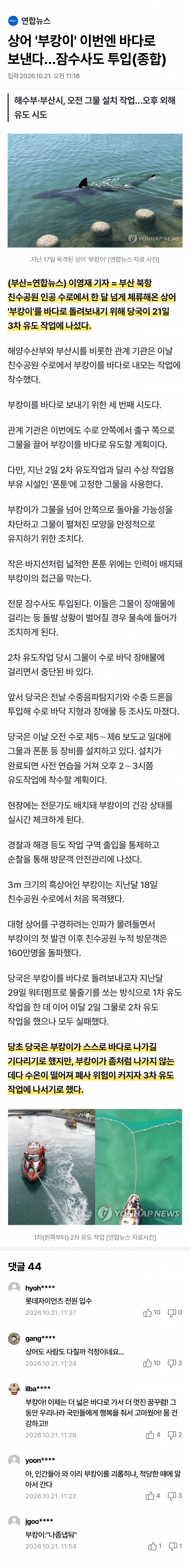 한 달째 갇힌 부산 상어…세 번째 탈출 작전 (15)