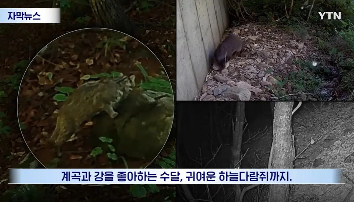 수십억 들여 숲 사놓고 아무것도 안한 이유 (3)
