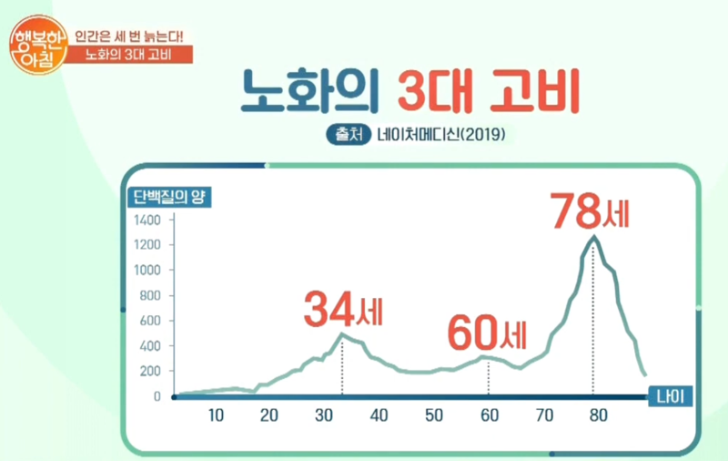 인간은 일생동안 2번 늙는다 vs 3번 늙는다 (2)