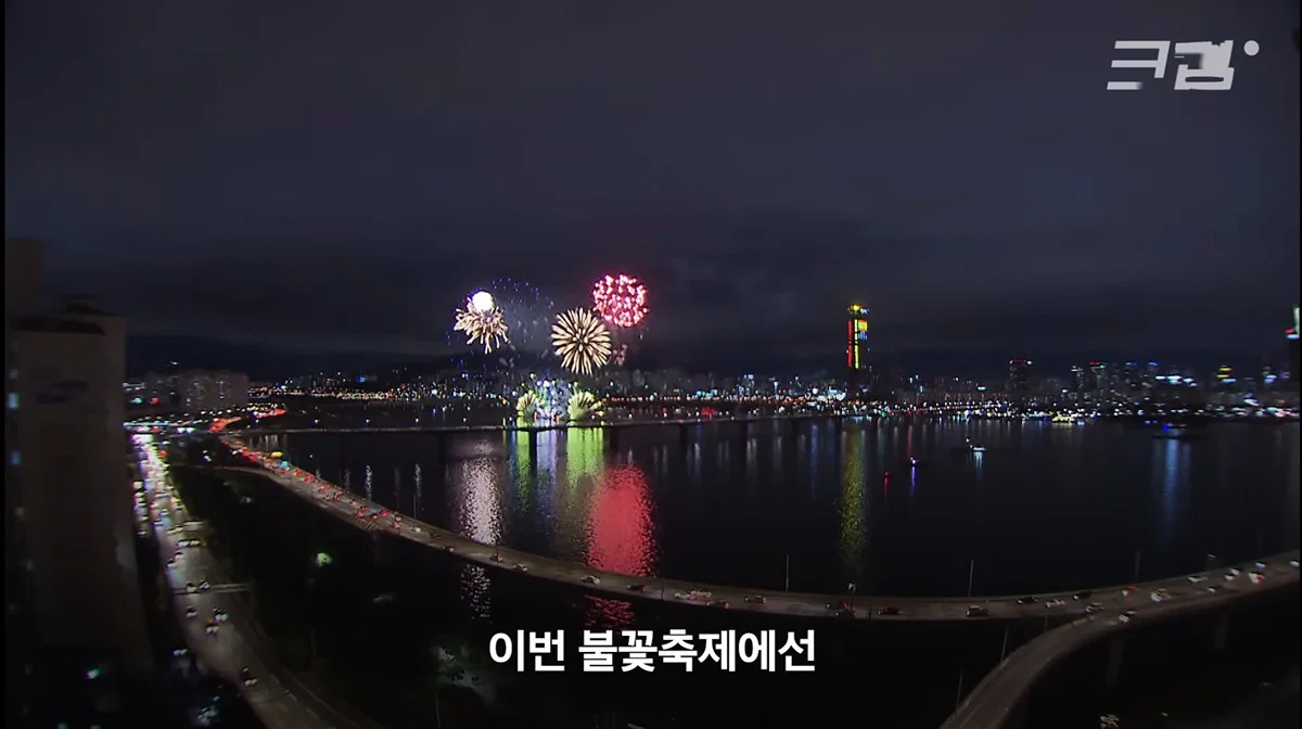 새들에겐 거의 전쟁난 수준이라는 불꽃축제 (45)