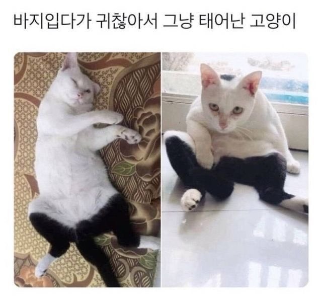 G_mMQ15awAAio_P.jpg