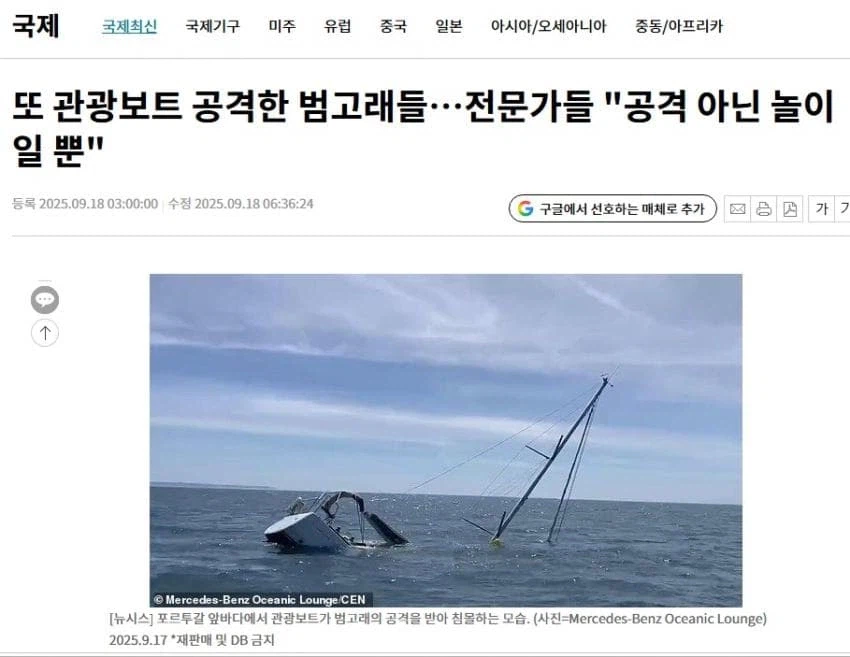 범고래가 장난으로 사람을 공격한다니..