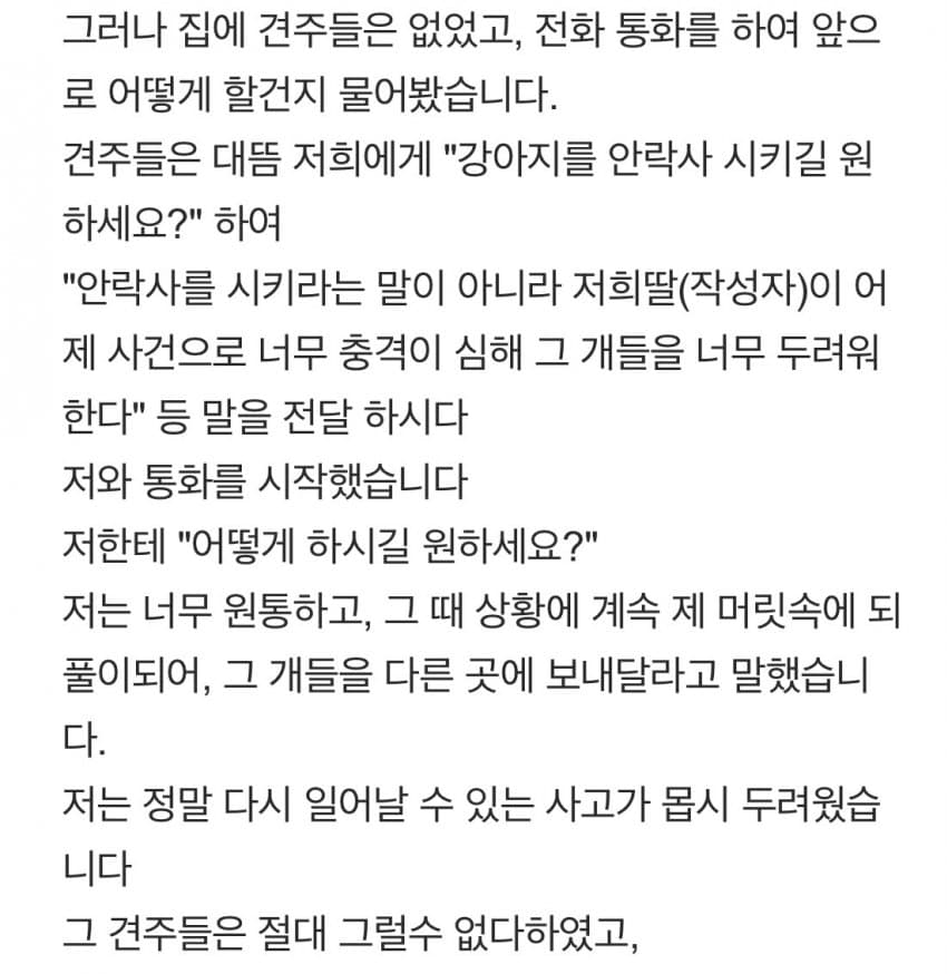 안싱글벙글 개물림 사고(강아지사망) 당했습니다 (7)