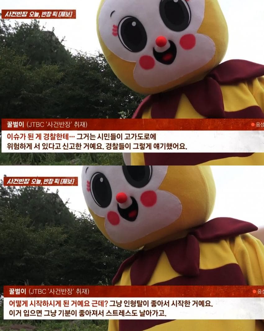 꿀벌 옷 입는 이유 (5)