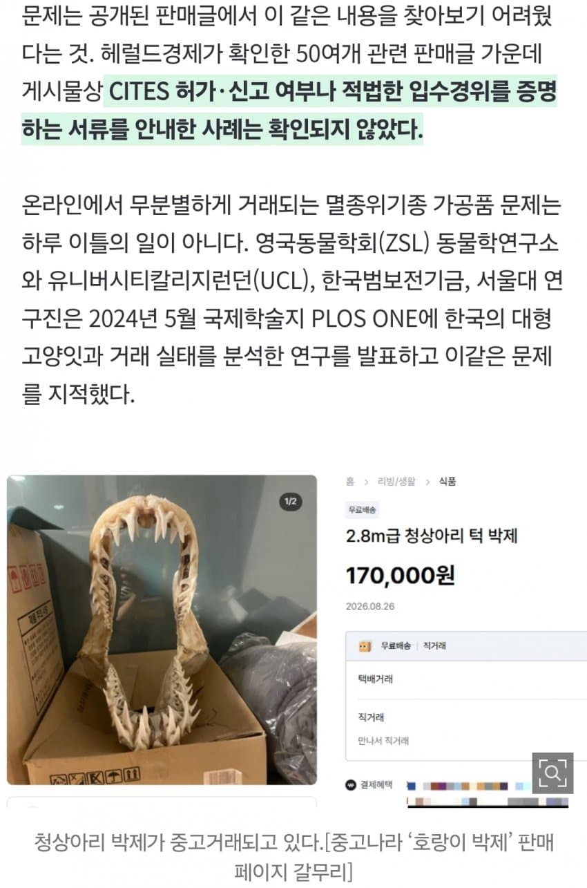 “여기가 한국 맞아?” 진짜 호랑이 ‘700만원’에 대놓고 거래 (10)