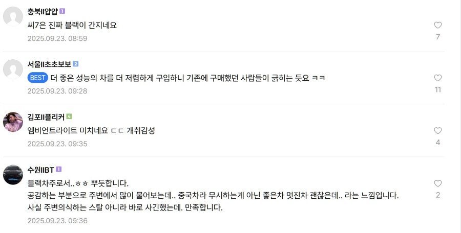 BYD 하차감 극찬하는 아재들 (2)