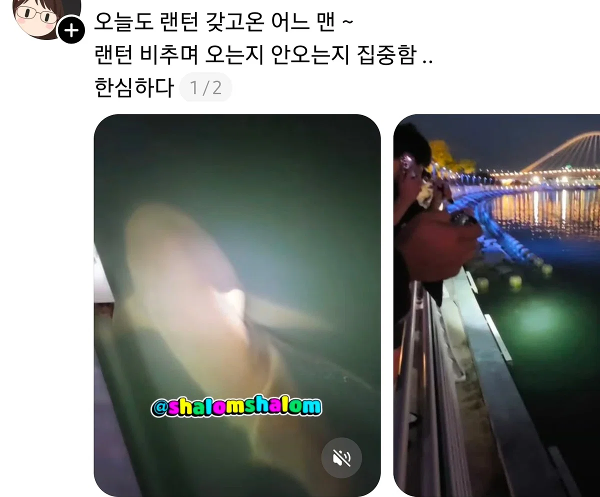 부산 상어 부캉이의 인기가 높아지면서 나타나는...... (4)