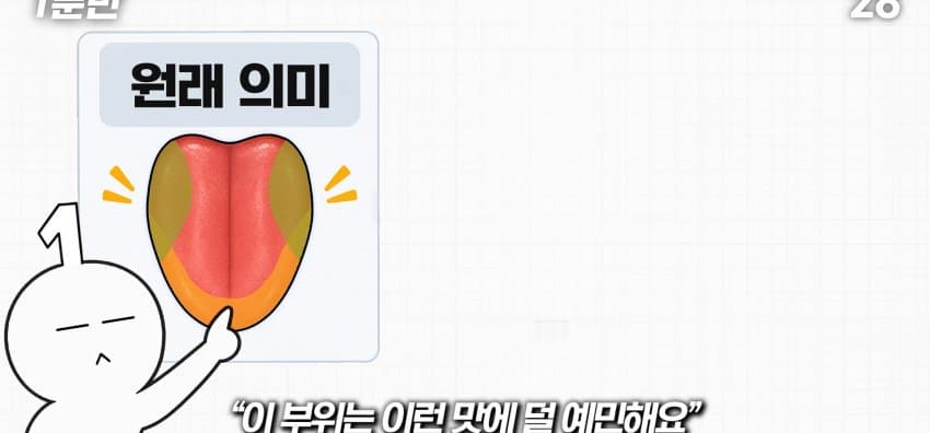 학교에서 배운 '혀 맛' 지도가 잘못됐다..? (22)