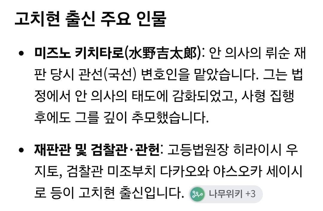 어느 일본의 시의원 (46)