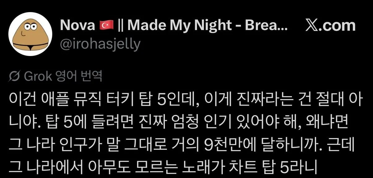 이수만 신인 걸그룹 A2O LITE 튀르키예 근황 (2)