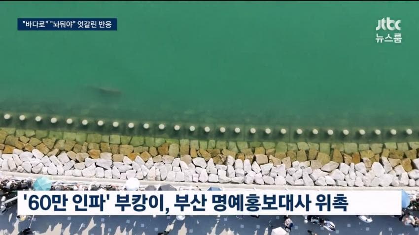 부산 상어.... 부캉이 구조 실패 ㄷㄷ...News (20)