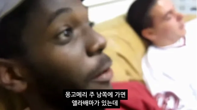 흑인 아이들 소풍을 목화밭으로 보낸 학교 (3)