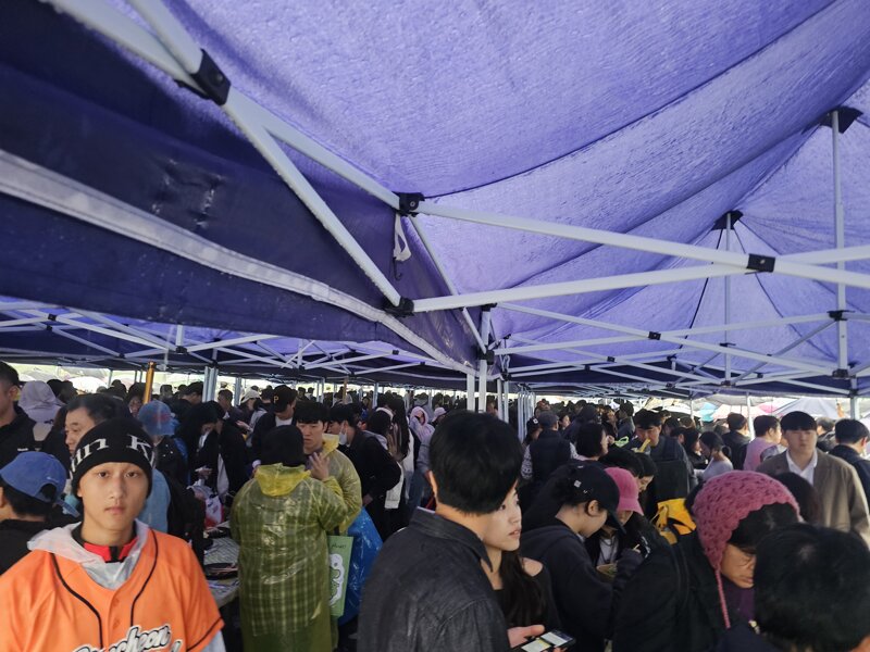 김밥축제 실시간 (4)