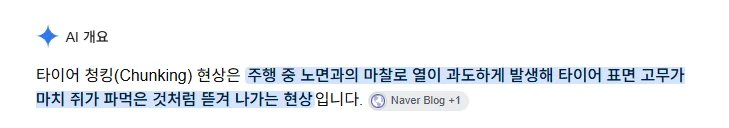 덤프트럭 유튜버가 당황했다는 덤프 트럭의 타이어 상태 (6)