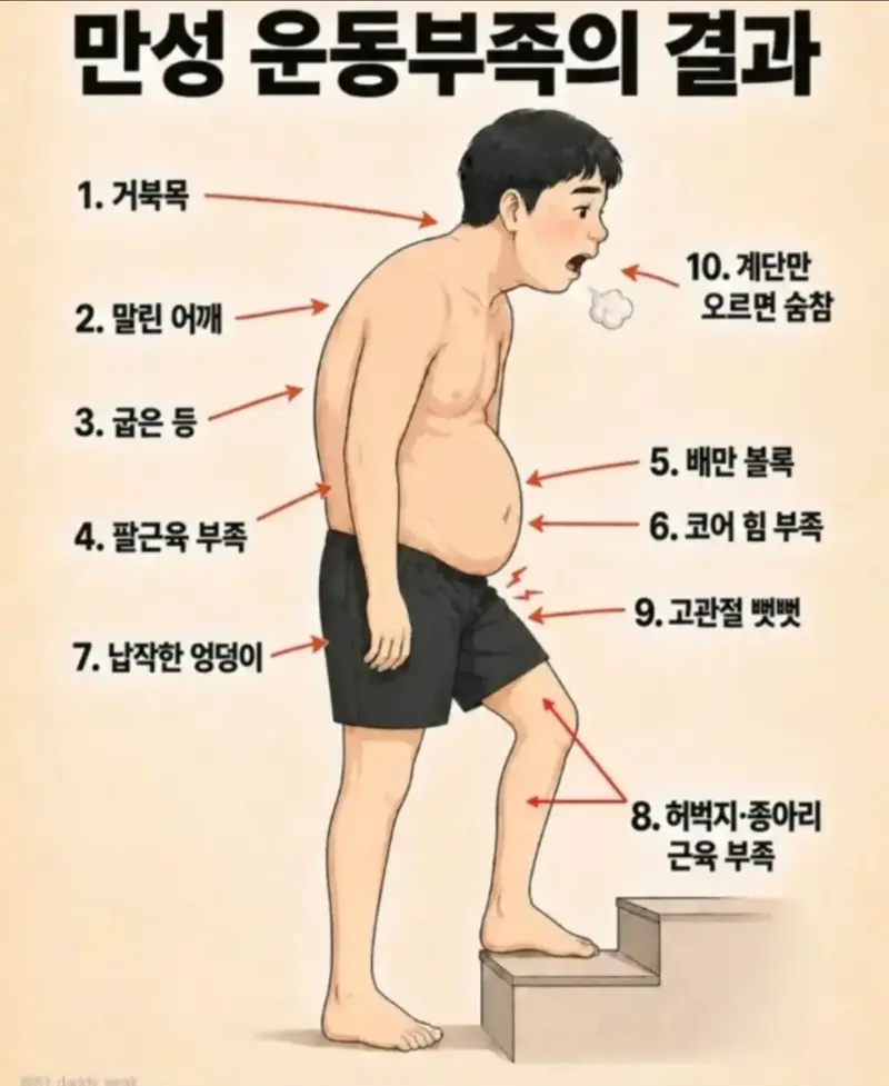 운동부족 남자 특징