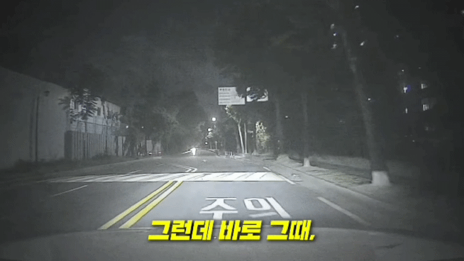차 버리고 도망간 상습 음주 운전자.. (8)