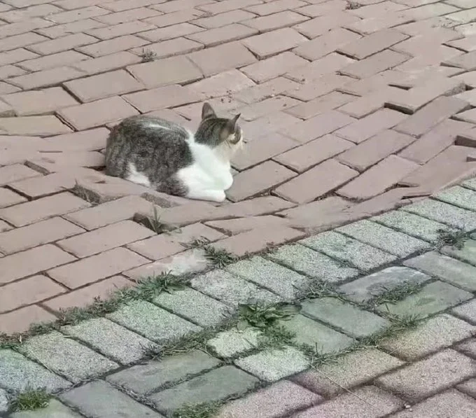 hcubjH