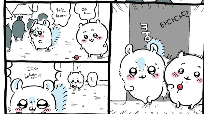 치이카와 짭몽가라고 부르는 이유와 찐몽가 몸이 바뀌고 난 이후 ㅠ
