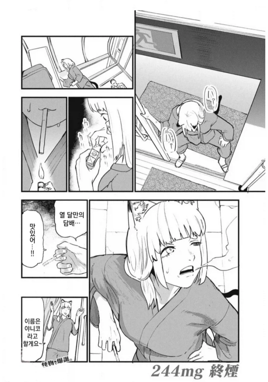 야니네코의 탄생 (4)