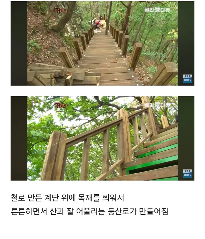 등산로는 누가 어떻게 만드는걸까 (18)