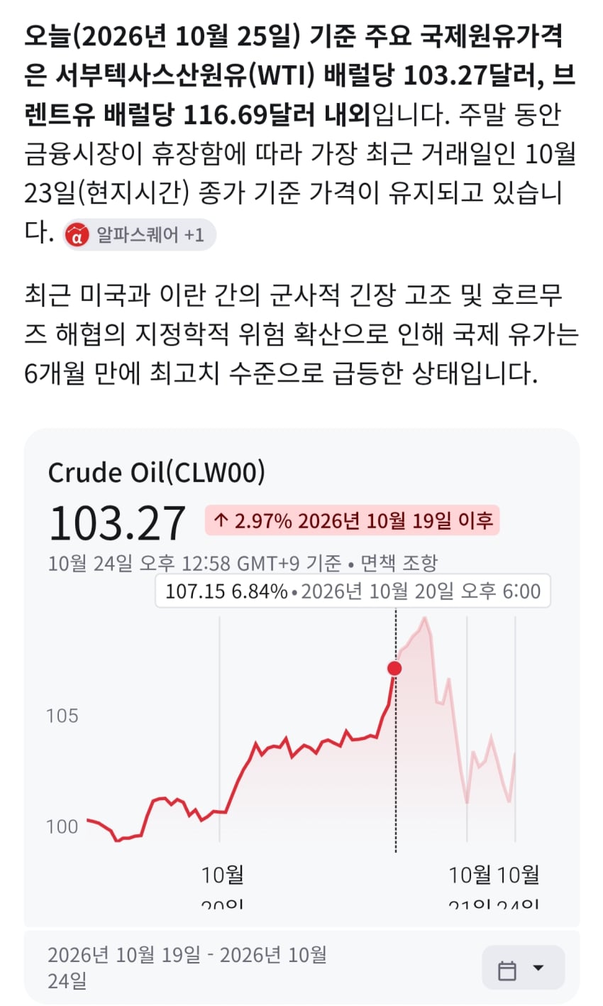 안싱글벙글 사우디 근황 (4)