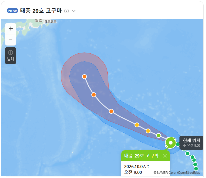 가을 고구마 근황